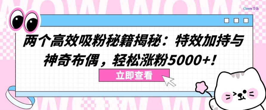 两个高效吸粉秘籍揭秘：特效加持与神奇布偶，轻松涨粉5000+【揭秘】-风淘社