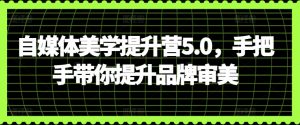 自媒体美学提升营5.0,手把手带你提升品牌审美-风淘社