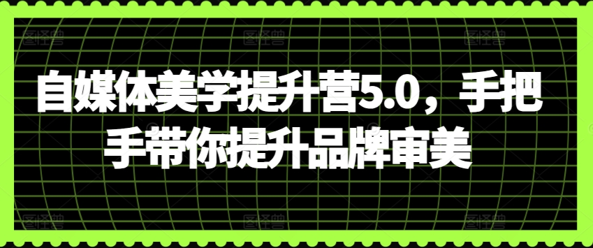 自媒体美学提升营5.0,手把手带你提升品牌审美-风淘社