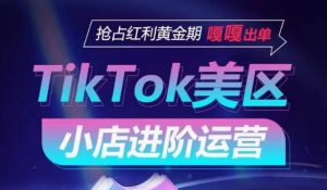 TikTok Shop美区小店进阶运营，抢占红利黄金期 嘎嘎出单-风淘社