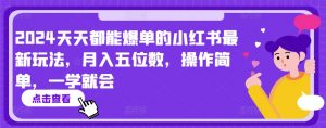 2024天天都能爆单的小红书最新玩法，月入五位数，操作简单，一学就会【揭秘】-风淘社
