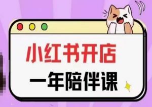 三九小红书开店一年陪伴课(更新),从0到1玩赚小红书开店-风淘社