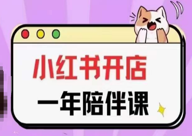 三九小红书开店一年陪伴课(更新),从0到1玩赚小红书开店-风淘社