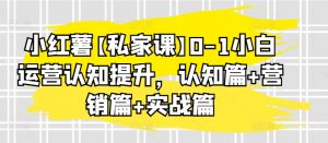 小红薯【私家课】0-1小白运营认知提升,认知篇+营销篇+实战篇-风淘社