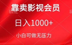 靠卖影视会员，日入1000+，落地保姆级教程，新手可学【揭秘】-风淘社