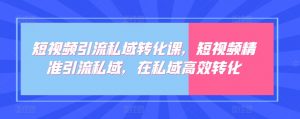 短视频引流私域转化课,短视频精准引流私域,在私域高效转化-风淘社