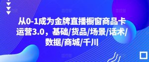 从0-1成为金牌直播橱窗商品卡运营3.0，基础/货品/场景/话术/数据/商城/千川-风淘社