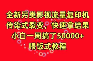 全新另类影视流量复印机，传染式裂变，快速拿结果，小白一周搞了50000+，喂饭式教程【揭秘】-风淘社