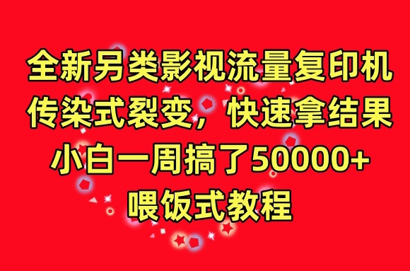 全新另类影视流量复印机，传染式裂变，快速拿结果，小白一周搞了50000+，喂饭式教程【揭秘】-风淘社