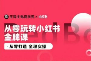 王导主·小红书电商运营实操课,从零打造 全程实操-风淘社