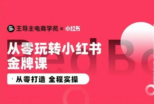 王导主·小红书电商运营实操课,从零打造 全程实操-风淘社