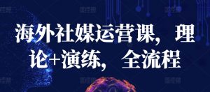 海外社媒运营课,理论+演练,全流程-风淘社