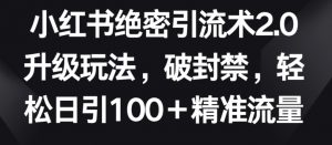小红书绝密引流术2.0升级玩法,破封禁,轻松日引100+精准流量【揭秘】-风淘社