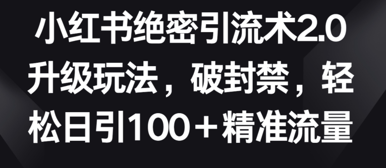 小红书绝密引流术2.0升级玩法,破封禁,轻松日引100+精准流量【揭秘】-风淘社