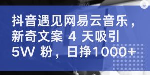 抖音遇见网易云音乐，新奇文案 4 天吸引 5W 粉，日挣1000+【揭秘】-风淘社