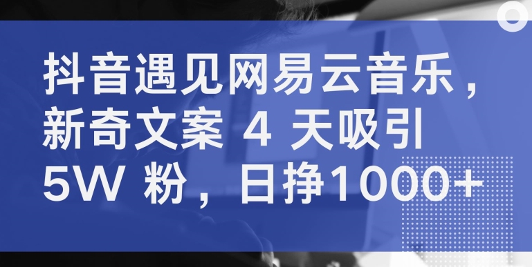 抖音遇见网易云音乐,新奇文案 4 天吸引 5W 粉,日挣1000+【揭秘】-风淘社