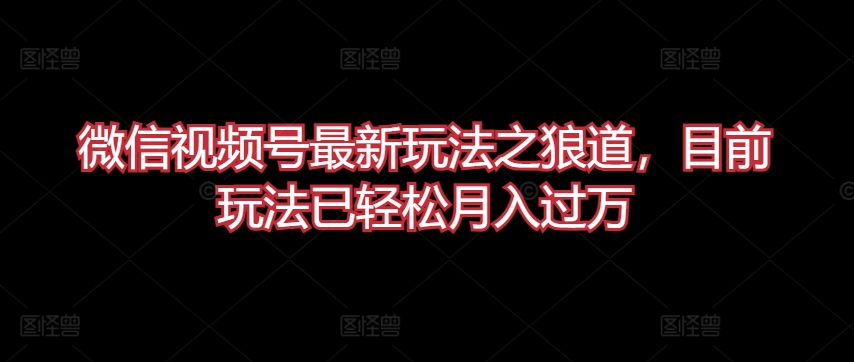 微信视频号最新玩法之狼道,目前玩法已轻松月入过万【揭秘】-风淘社