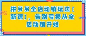 拼多多全店动销玩法【新课】，告别亏损从全店动销开始-风淘社