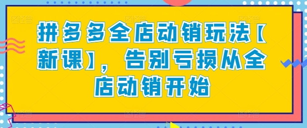 拼多多全店动销玩法【新课】,告别亏损从全店动销开始-风淘社