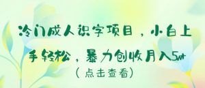 冷门成人识字项目，小白上手轻松，暴力创收月入5w+【揭秘】-风淘社