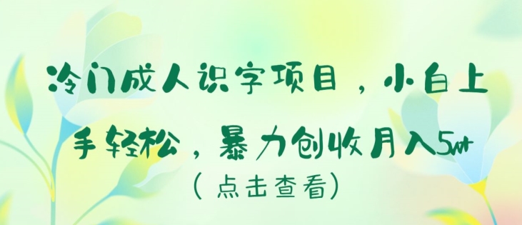 冷门成人识字项目，小白上手轻松，暴力创收月入5w+【揭秘】-风淘社