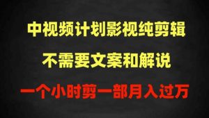 中视频计划影视纯剪辑，不需要文案和解说，一个小时剪一部，100%过原创月入过万【揭秘】-风淘社
