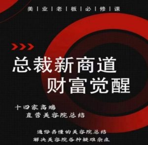 总裁新商道(美业老板必修课),通俗易懂的美容院总结,解决美容院各种疑难杂症-风淘社