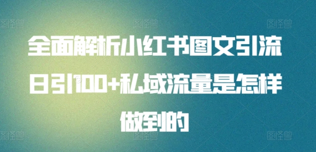 全面解析小红书图文引流日引100+私域流量是怎样做到的【揭秘】-风淘社