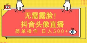 无需露脸,Ai头像直播项目,简单操作日入500+【揭秘】-风淘社