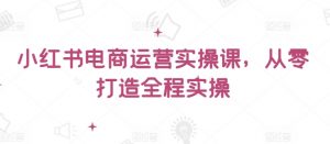 小红书电商运营实操课,从零打造全程实操-风淘社