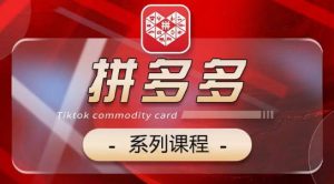 2024拼多多系列课,【基础】【运营】【活动】【推广】【玩法】5大模块-风淘社