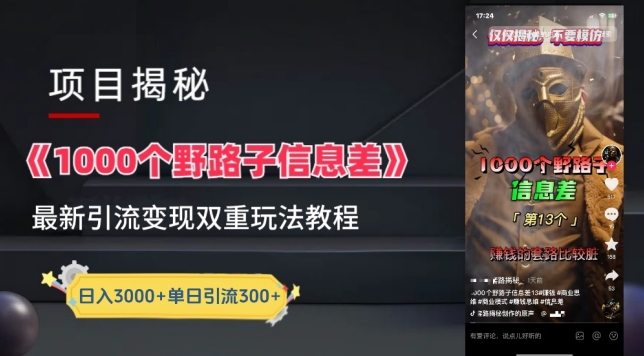 一千个野路子信息差最新玩法教程-变现+引流的玩法具体拆解【揭秘】-风淘社