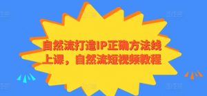 自然流打造IP正确方法线上课,自然流短视频教程-风淘社