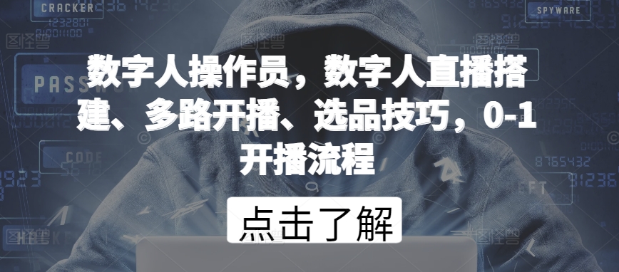 数字人操作员,数字人直播搭建、多路开播、选品技巧,0-1开播流程-风淘社