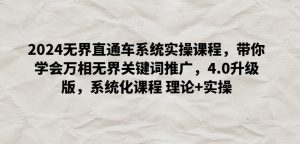 2024无界直通车系统实操课程,带你学会万相无界关键词推广,4.0升级版,系统化课程 理论+实操-风淘社