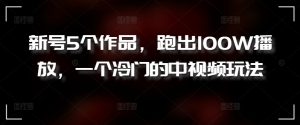 新号5个作品,跑出100W播放,一个冷门的中视频玩法【揭秘】-风淘社