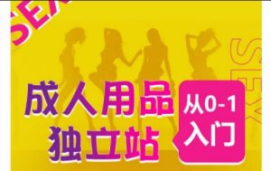 成人用品独立站从0-1入门,成品独立站运营全流程教学,七大好卖成品独立站推荐-风淘社