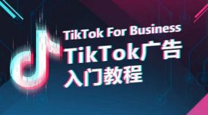 TikTok广告入门教程,从0到1掌握TikTok投放的全流程-风淘社