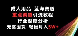 成人用品,蓝海赛道,重点渠道引流教程,行业深度分析,无需囤货,轻松月入5W+【揭秘】-风淘社