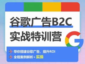 谷歌广告B2C实战特训营,500+谷歌账户总结经验,实战演示如何从0-1搭建广告账户-风淘社