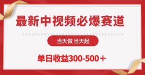 最新中视频必爆赛道，当天做当天起，单日收益300-500+【揭秘】-风淘社