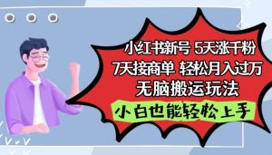 小红书影视泥巴追剧5天涨千粉,7天接商单,轻松月入过万,无脑搬运玩法【揭秘】-风淘社