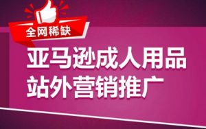 亚马逊成人用品站外营销推广,成人用品新品推广方案,助力打造类目爆款-风淘社