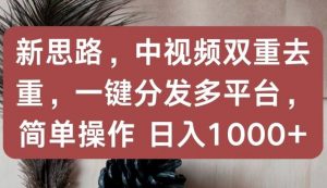 新思路，中视频双重去重，一键分发多平台，简单操作，日入1000+【揭秘】-风淘社