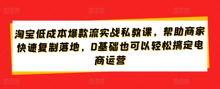 淘宝低成本爆款流实战私教课，帮助商家快速复制落地，0基础也可以轻松搞定电商运营-风淘社
