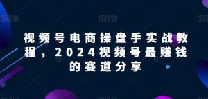 视频号电商实战教程,2024视频号最赚钱的赛道分享-风淘社