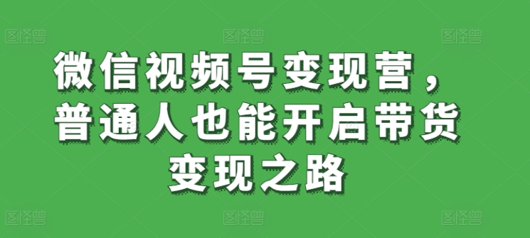 微信视频号变现营,普通人也能开启带货变现之路-风淘社
