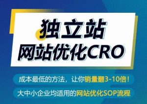 独立站网站优化CRO,成本最低的方法,让你销量翻3-10倍-风淘社