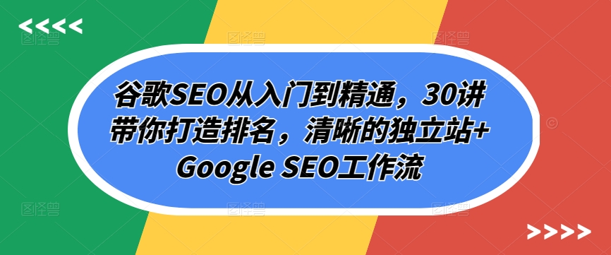 谷歌SEO从入门到精通,30讲带你打造排名,清晰的独立站+Google SEO工作流-风淘社