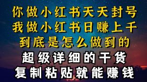 都知道小红书能引流私域变现，可为什么我能一天引流几十人变现上千，但你却频频封号违规被限流【揭秘】-风淘社